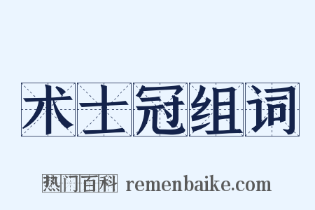 术士冠组词是什么意思的图片